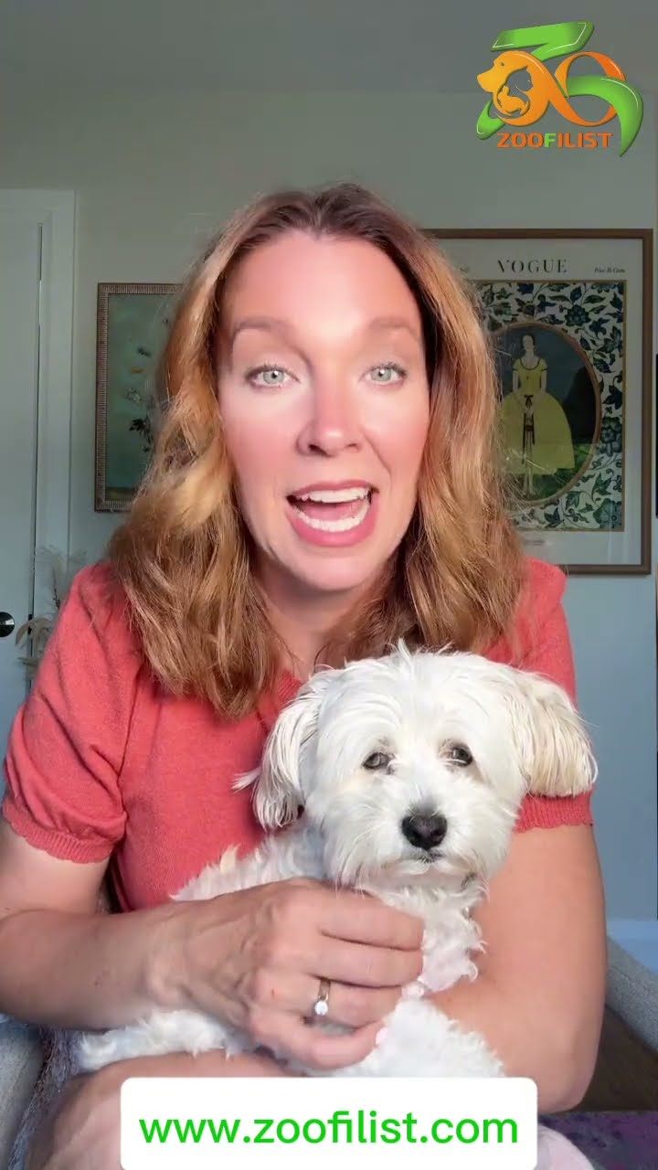 Keep 100% of Your A Pet Professional’s Experience With Zoofilist
