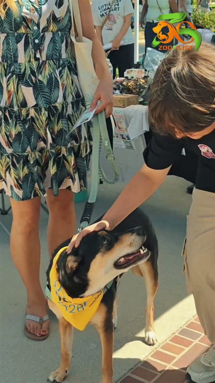 Zoofilist participated in Dog Fest 2026 in Southwest California