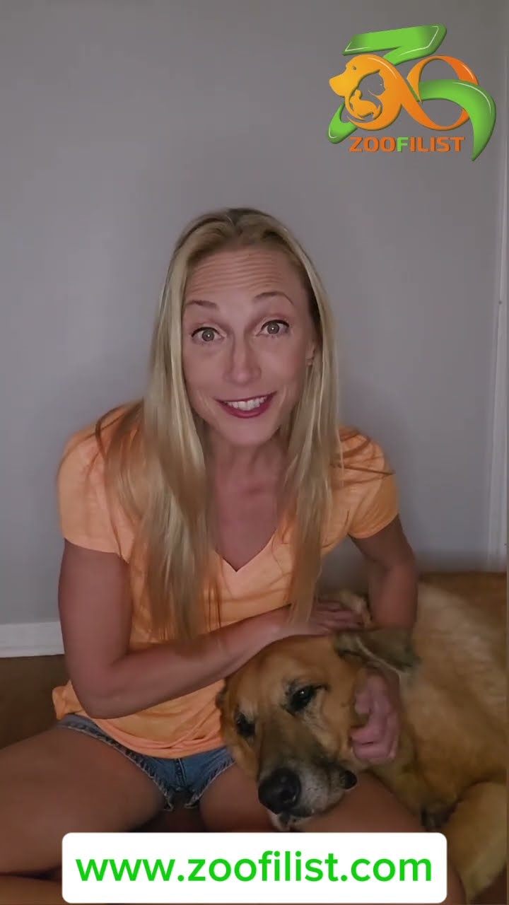 San Diego Pet Professionals: Join Zoofilist & Pay 0% Commission for 2 Months